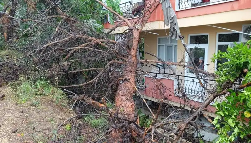 Yağmura Dayanamayan Bina, Korkunç Bir Çökmeye Tanıklık Ettik!