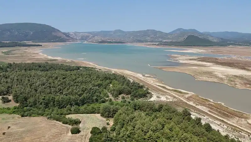 İzmir'de Tehlike Çanları: Yüzde 50 Düşüş Rakamları Şaşırtıyor