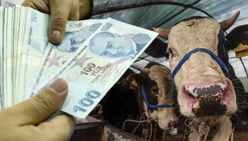 Emekli ve Memur Maaşları Kurban Bayramı’ndan Önce mi Yatacak?