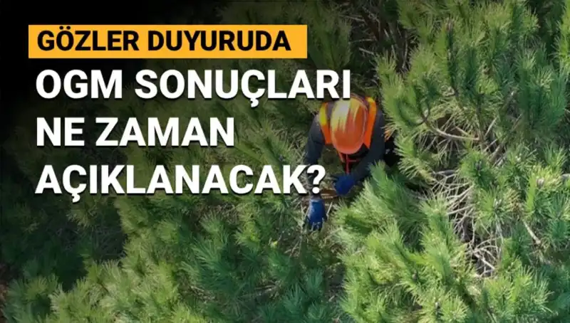 OGM Personel Alımında Gözler Sonuçlarda: 3.477 Sözleşmeli Kadro İlanı Bekleniyor