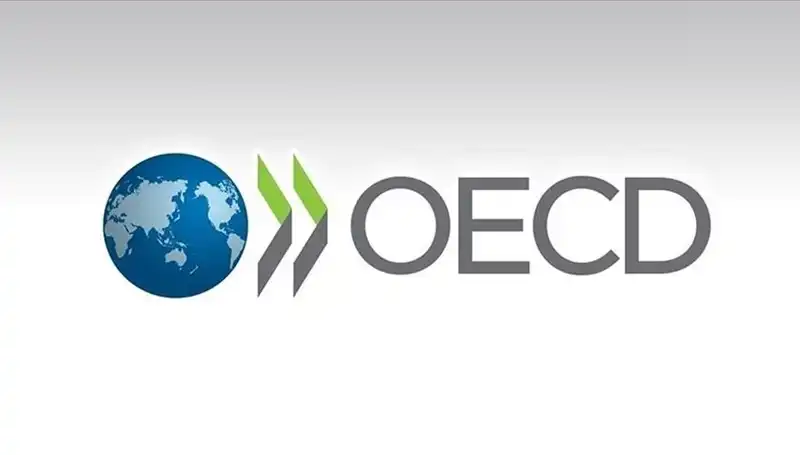 OECD, Türkiye’nin Ekonomik Büyüme Tahminini Revize Etti!