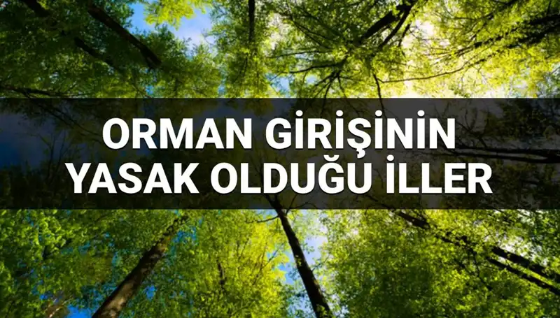 2025’te Hangi İllerde Ormana Giriş Yasak? Tüm Detaylar Burada!