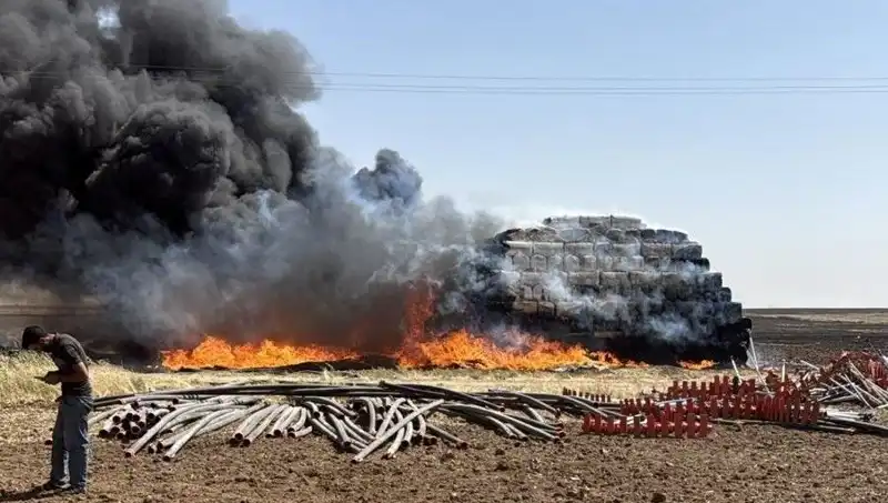 Mardin'de Korkutan Anız Yangını: Doğa ve Tarım Tehlikeye Girdi!