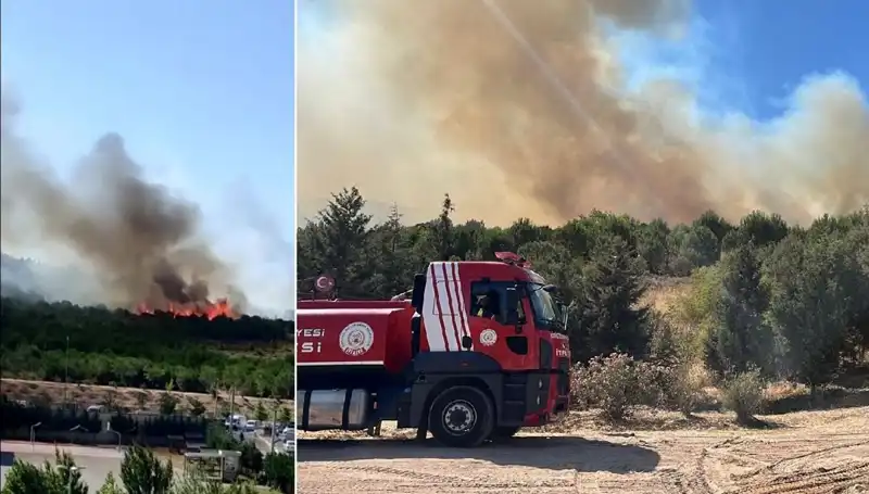 Gebze’de Orman Yangını Korkuttu: Yangının Sebepleri ve Sonuçları Başka Neler?