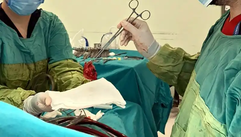 Kalp Kapağı Çürüyen Hastaya 7 Saatlik Ameliyat: Mucizevi Kurtuluş Hikayesi