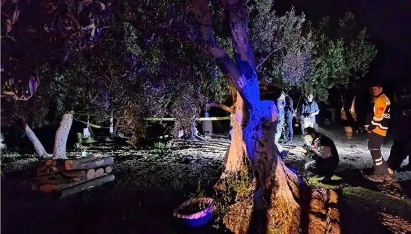 Çiftlikteki Baltalı Vahşetle İlgili Şok Tutuklama Gerçekleşti