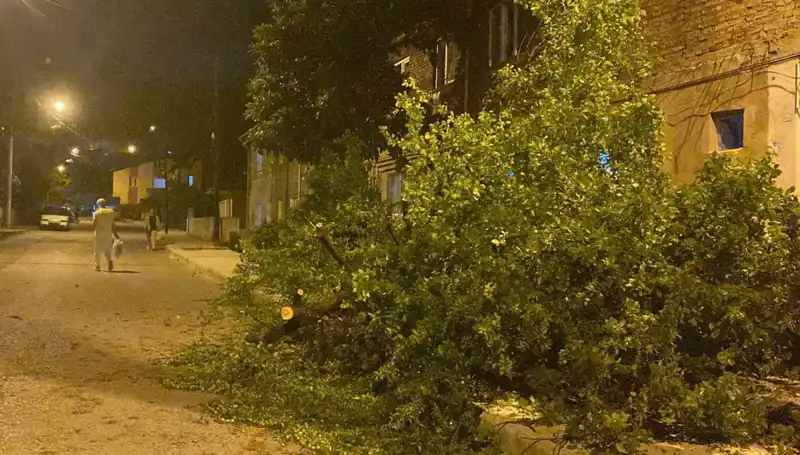 Karabük'te Şiddetli Fırtına Hayatı Olumsuz Etkiledi: İşte Yaşananlar
