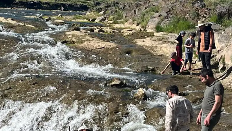 İnci Kefalinin Muhteşem Göçü: Doğanın Harikası Türkiye'yi Büyüledi!