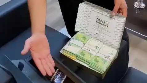 Manavgat Belediyesi'nde Şok Operasyon: Baklava Kutusundan Avrolar Çıktı
