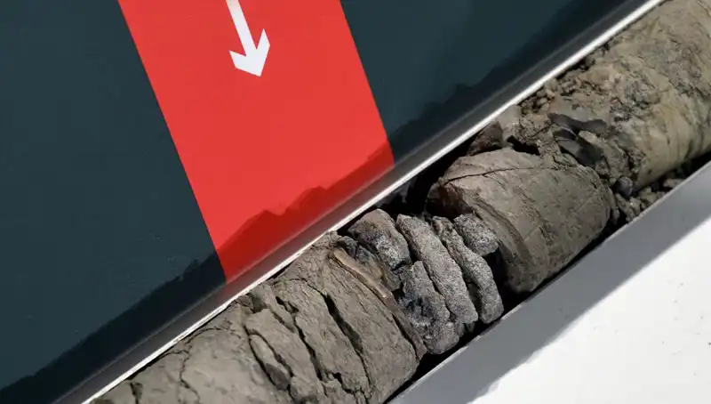 Dinozor Fosili Müze Otoparkında Bulundu: Bilim Dünyasında Heyecan Yaratan Keşif!