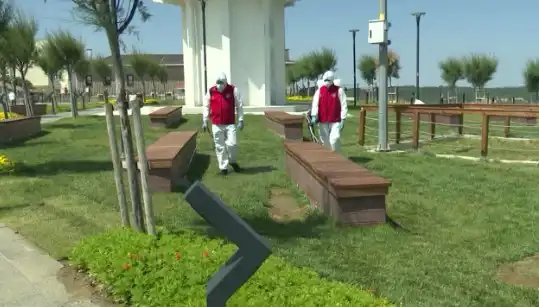 Kene Tehlikesi Artıyor: Halka Açık Alanlarda İlaçlama Başladı!
