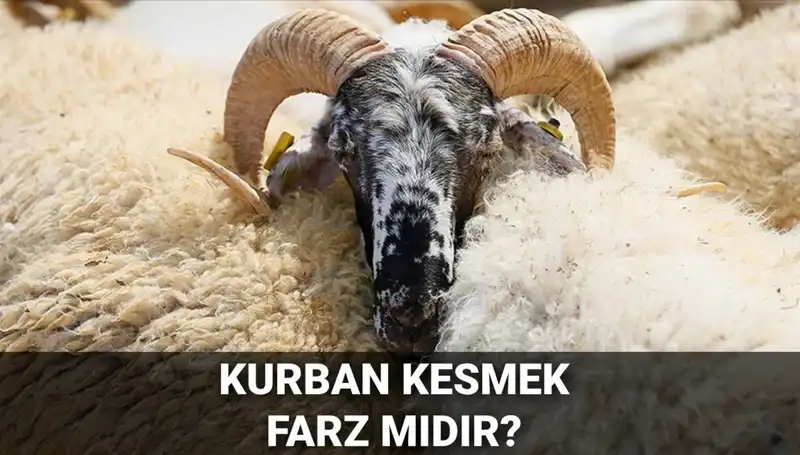 Kurban Kesmek Farz mı? Diyanet'in Görüşü ve Şartlar