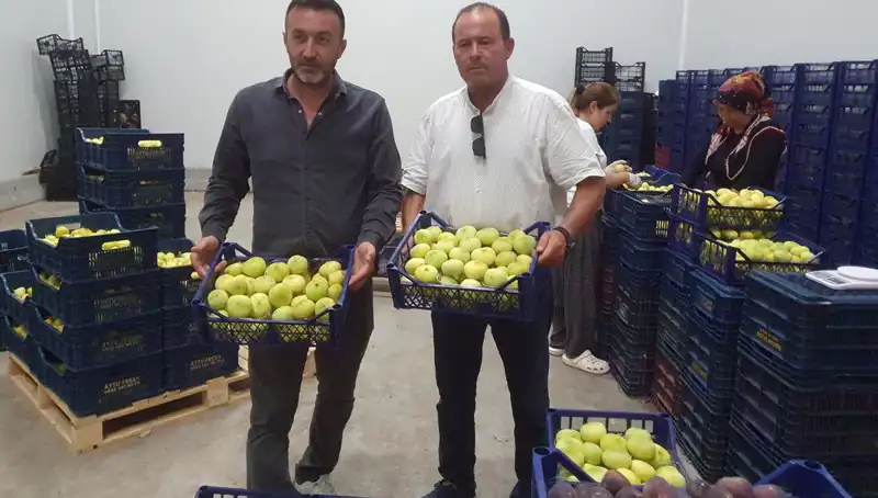 Mersinli Çiftçinin Yüzü Güldü: İhraç Edilen Tarım Ürünleri 20 TL!