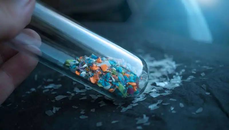 Mikroplastikler İnsan Beynini Tehdit Ediyor: Etkileri Üzerine Şok Edici Bulgular
